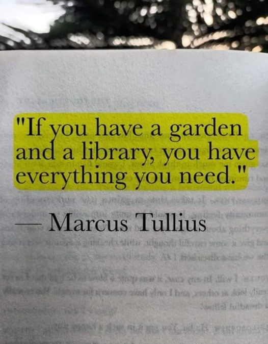 #History #HistoryLovers #HistoryFacts #Quotes #Philosophy #QuoteOfTheDay #Greatness #Knowledge  #Wisdom #XZEmpire #XZQuotes #MarcusTullius #Garden #Library #AllYouNeed