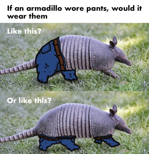 Top picture – for sure