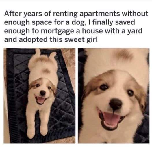 Look how happy!