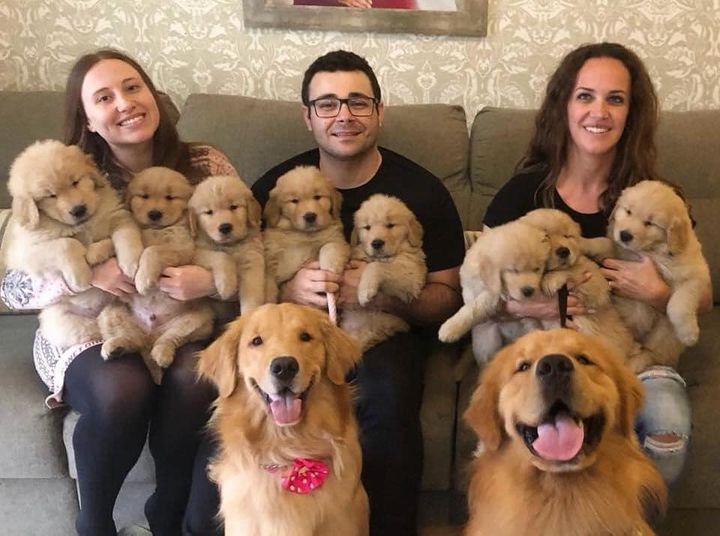 Proud doggo parents