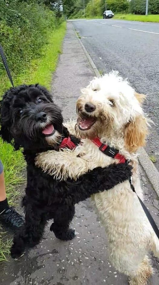 Bestest friends