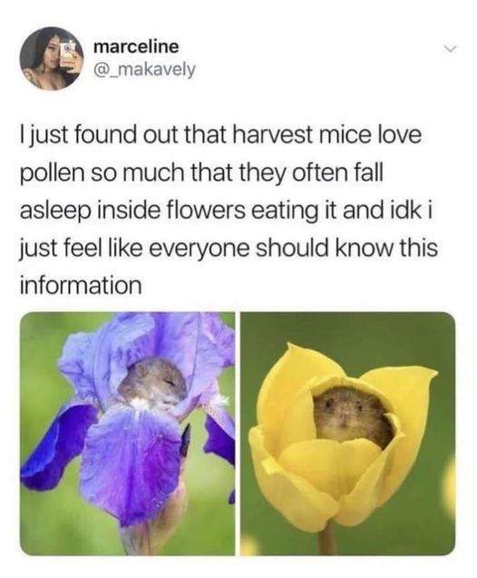 So cute