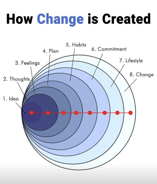 Change starts as a ripple from a single idea, growing step by step into a transformed lifestyle.